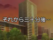 いつでも即ハメギャル母娘, 日本語