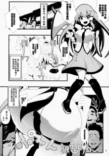 Touhou Jikan 5 Kochiya Sanae, 中文