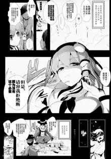 Touhou Jikan 5 Kochiya Sanae, 中文