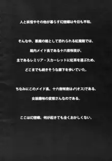 レミリアお嬢様の煩悩, 日本語