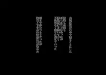 FuzzyD.N 魔族になってしまったシスター、そして・・・, 日本語