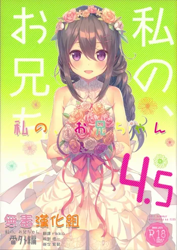 Watashi no, Onii-chan 4.5 Bangaihen, 中文