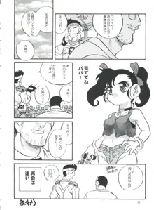 燃えろ巨乳レーサー！！, 日本語