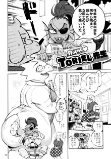 教えてTORIEL先生, 日本語