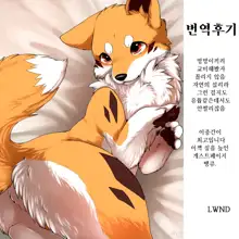 Kitsune Inu to Asobo! | 여우개 랑 놀자!, 한국어