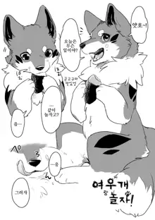 Kitsune Inu to Asobo! | 여우개 랑 놀자!, 한국어