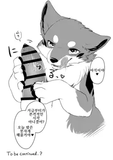 Kitsune Inu to Asobo! | 여우개 랑 놀자!, 한국어