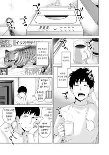 Noraneko Shoujo to no Kurashikata  Ch. 1 ~ 12 | 들고양이 소녀와 생활하는법1~12 모음, 한국어