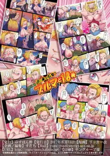 迫り来る痴女!ブルマと18号, 日本語