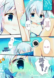 Chino-chan to Bikini to Umi to | 치노쨩이랑 비키니랑 바다랑, 한국어