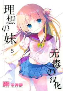 Risou no Imouto 5, 中文