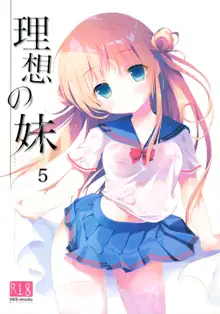 Risou no Imouto 5, 中文