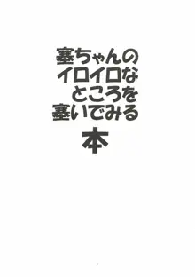 塞ちゃんのイロイロなところを塞いでみる本, 日本語