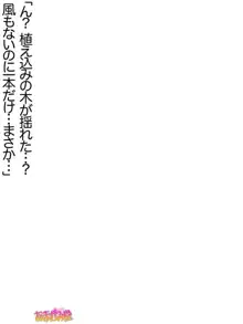 芹香先生の、中出しおねだりらぶせっくす 第 1~16 話, 日本語