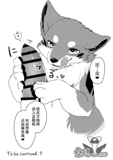 Kitsuneinu to Asobo! | 和狐犬酱一起玩!, 中文