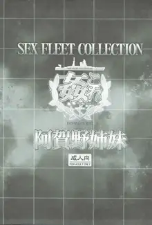 姦これ-SEX FLEET COLLECTION-阿賀野姉妹-, 日本語