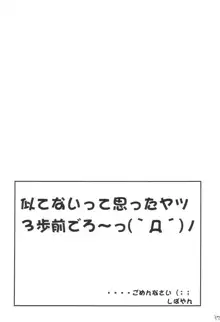 Kemonoke Tsuushin 11, 日本語