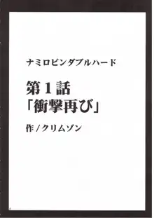 ナミロビンダブルハード, 日本語