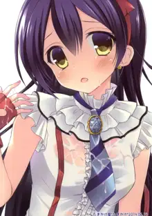 Honoka no Koto o Omoinagara Onanie Shite Itara Fan ni Okasarechatta Umi-chan, English