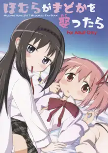 Homura ga Madoka o Metottara, 中文