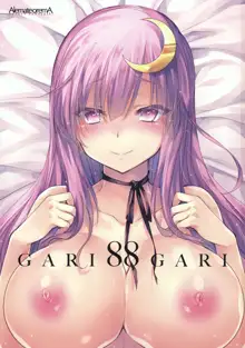 GARIGARI88, 日本語