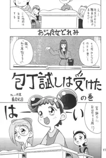 おジャ魔女絵日記, 日本語