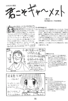 おジャ魔女絵日記, 日本語