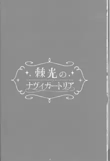 Toge Hikari no Navuigaatoria Book 2, 日本語