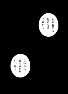 こいしちゃんの陰毛, 日本語