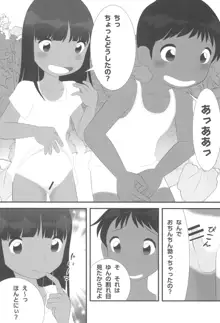 夏なんです。, 日本語