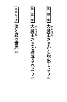 童貞を殺す大魔王! 例のセーターを着たサキュバス姫, 日本語