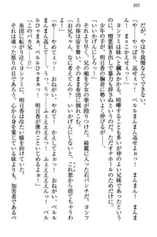 童貞を殺す大魔王! 例のセーターを着たサキュバス姫, 日本語