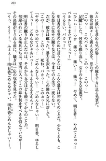 童貞を殺す大魔王! 例のセーターを着たサキュバス姫, 日本語