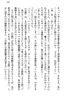 童貞を殺す大魔王! 例のセーターを着たサキュバス姫, 日本語