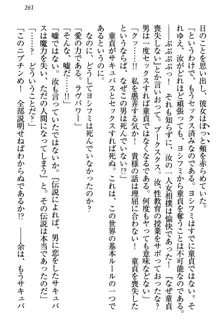 童貞を殺す大魔王! 例のセーターを着たサキュバス姫, 日本語