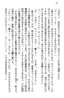 童貞を殺す大魔王! 例のセーターを着たサキュバス姫, 日本語