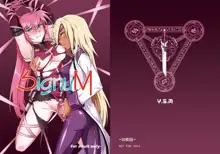 SignuM, 中文