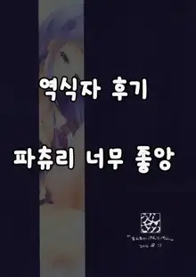 Awaawa Patchouli-chan | 거품 거품 파츄리 씨, 한국어