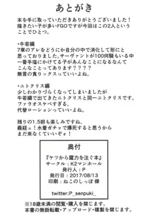 ケツから魔力を注ぐ本, 日本語