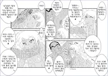 Brainwashing Education Classroom ~Kousaka Kousaka Hen~ My Little Sister Can't Be Brainwashed by This Pervert, 한국어