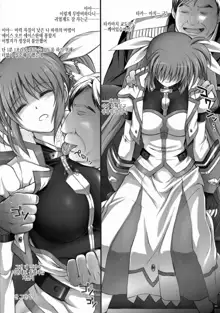 Nanto Nanoha-san ni Rariho ga Kiita! | 놀랍게도 나노하씨에게 레드썬이 통했다!, 한국어