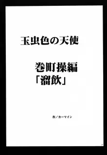 玉虫色の天使, 日本語