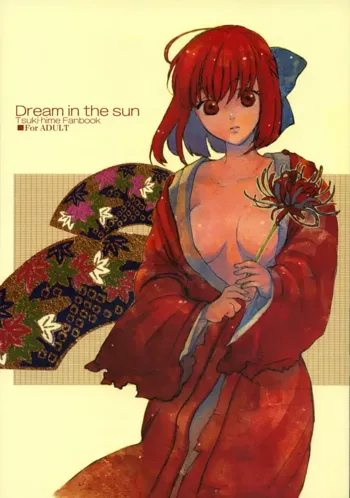 Dream in the sun, English