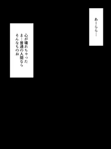 秘密結社ベルグレー～怪人への招待状～, 日本語