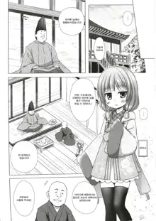 Hikari no Kimi no Saganaki Keikaku <Akashi> | 히카루의 앞뒤 없는 계획 <아카시>, 한국어