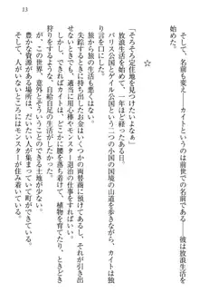 元勇者はロリエルフ村をハーレムにデキました！, 日本語