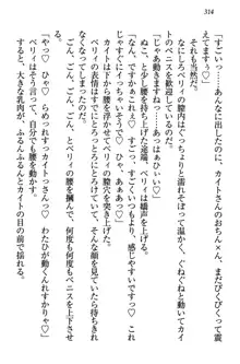 元勇者はロリエルフ村をハーレムにデキました！, 日本語