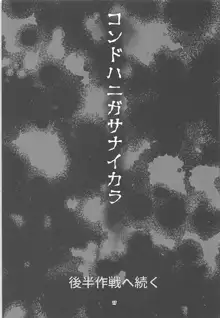 フタナリ時雨 山城完堕夜戦 前半作戦, 日本語