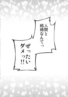 いなばの嫁うさぎ, 日本語