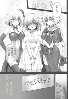 Koukyuu Club Chaldea -Haikakin Master no Tame ni Watashi-tachi, Hatarakimasu-, 中文